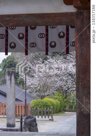 岡寺　仁王門　桜の季節　--奈良県高市郡明日香村岡-- 138357166