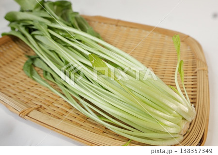 ザルの上の壬生菜の根元の写真 ザルの上の壬生菜の根元の写真 138357349