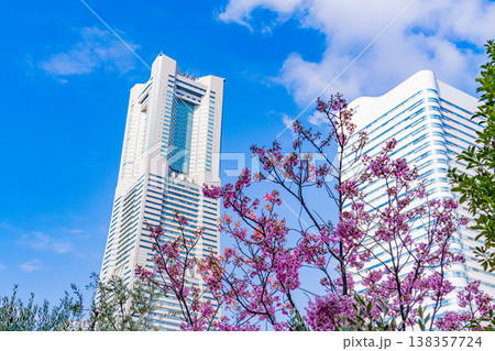 （神奈川県）桜咲く、横浜みなとみらい　運河パーク 138357724