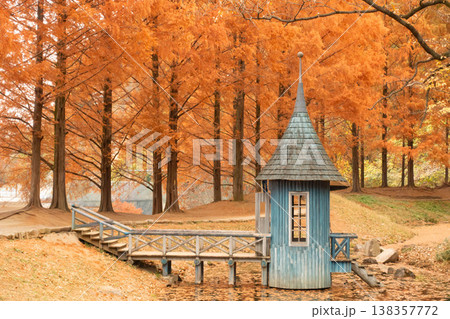 秋のあけぼの子どもの森公園に色づくメタセコイアの紅葉風景 138357772
