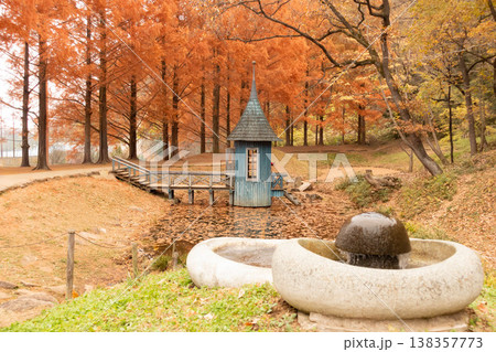 秋のあけぼの子どもの森公園に色づくメタセコイアの紅葉風景 138357773