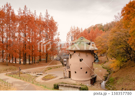 秋のあけぼの子どもの森公園に色づくメタセコイアの紅葉風景 138357780