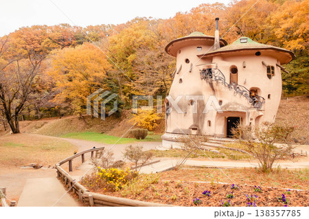 秋のあけぼの子どもの森公園に色づくメタセコイアの紅葉風景 138357785