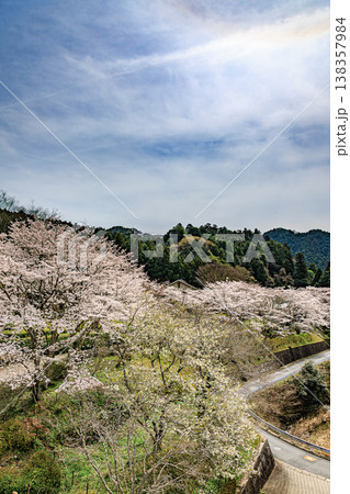 奈良・明日香村の里山に広がる桜と集落の春景色 奈良・明日香村の里山に広がる桜と集落の春景色 138357984