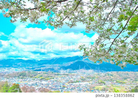 桜の花陰から見おろす秦野の町並み 桜の花陰から見おろす秦野の町並み 138358862
