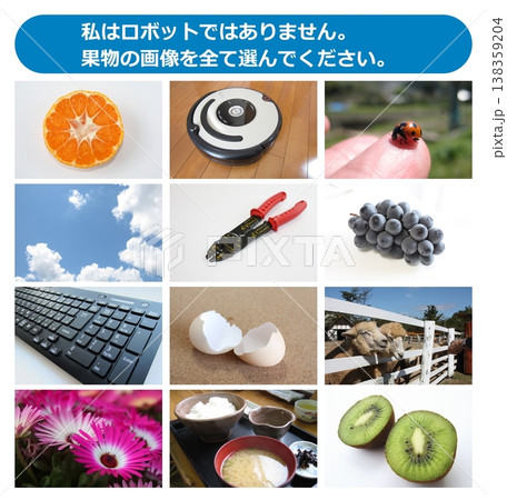 ネットやプログラムでロボットを防止する選択式防犯プログラム ネットやプログラムでロボットを防止する選択式防犯プログラム 138359204