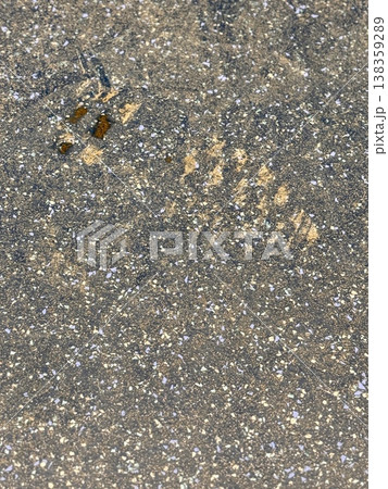 Closeup of unique animal tracks and markings in the sand, highlighting natures incredible artistry and beauty Closeup of unique animal tracks and markings in the sand, highlighting natures incredible artistry and beauty 138359289