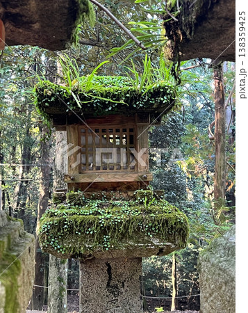 苔と草が生い茂る古い木製灯籠のアップ 苔と草が生い茂る古い木製灯籠のアップ 138359425