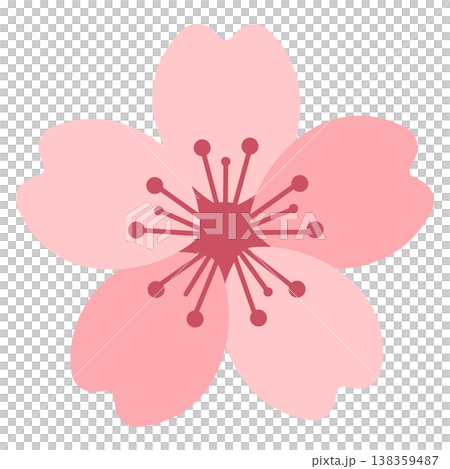 sakura, cherryblossom, cherryblossoms 138359487