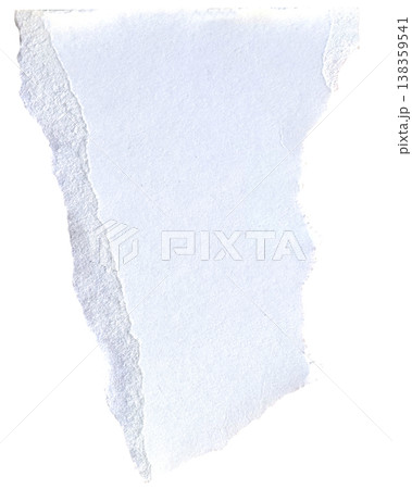 Torn paper piece with realistic textured ripped edges. Torn scrap of cardboard or paper. Piece of notebook sheet. Torn paper piece with realistic textured ripped edges. Torn scrap of cardboard or paper. Piece of notebook sheet. 138359541