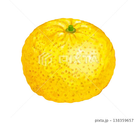 ユズのイラスト	 138359657