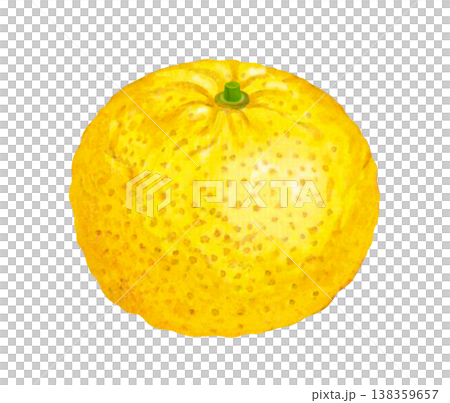 ユズのイラスト	 138359657