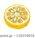 半分に切ったユズのイラスト 138359658
