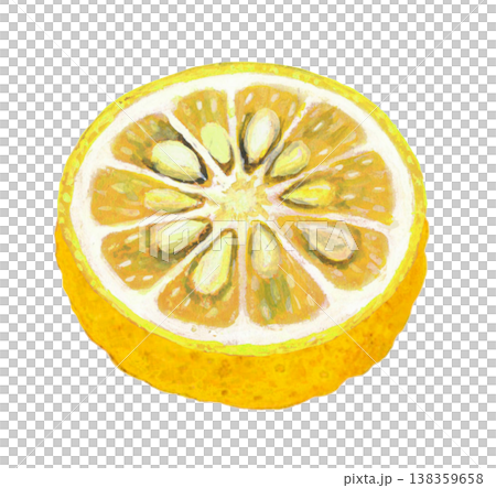 半分に切ったユズのイラスト 138359658