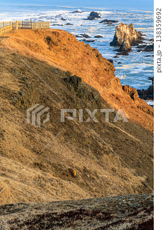 夕陽と荒波に包まれたキタキツネの風景 138359692