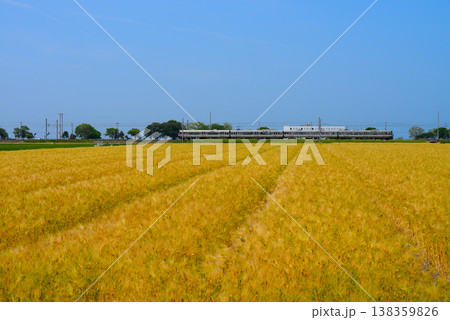 麦畑のある風景 麦畑のある風景 138359826