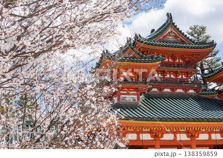 京都平安神宮の風景 春の平安神宮 平安神宮に咲く左近の桜 京都観光スポット 京都平安神宮の風景 春の平安神宮 平安神宮に咲く左近の桜 京都観光スポット 138359859