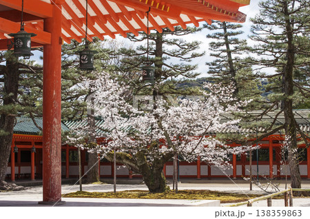 京都平安神宮の風景 春の平安神宮 神楽殿と桜の風景 京都観光スポット 京都平安神宮の風景 春の平安神宮 神楽殿と桜の風景 京都観光スポット 138359863