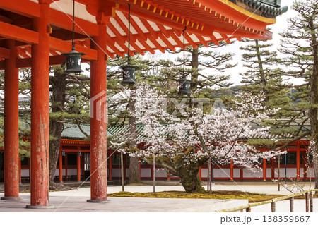京都平安神宮の風景　春の平安神宮　神楽殿と桜の風景　京都観光スポット 138359867