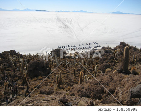 インカワシ島から眺めるウユニ塩湖の風景 インカワシ島から眺めるウユニ塩湖の風景 138359998