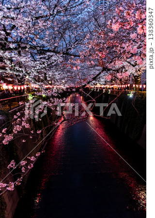 夜桜 ~東京・目黒川・1~ 夜桜 ~東京・目黒川・1~ 138360347