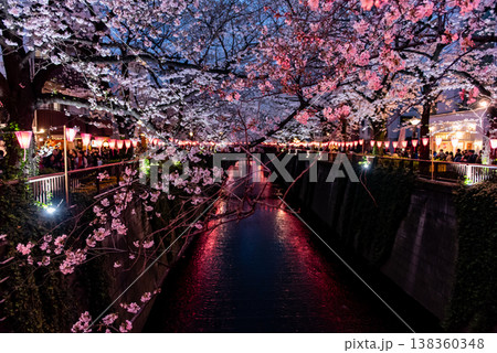夜桜　～東京・目黒川・12～ 138360348
