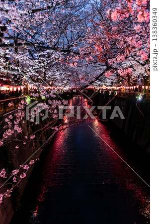 夜桜　～東京・目黒川・14～ 138360349