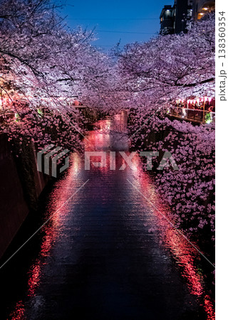 夜桜 ~東京・目黒川・19~ 夜桜 ~東京・目黒川・19~ 138360354