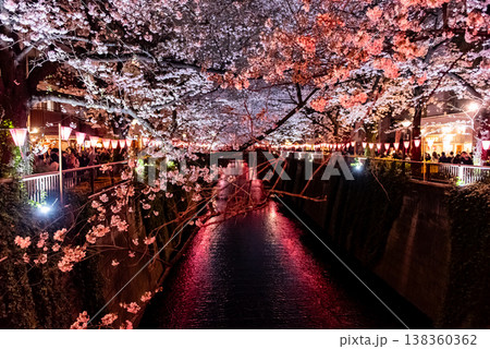 夜桜 ~東京・目黒川・8~ 夜桜 ~東京・目黒川・8~ 138360362