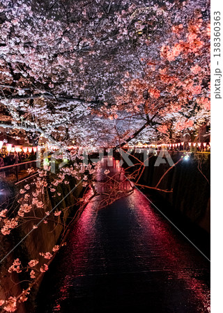 夜桜　～東京・目黒川・9～ 138360363