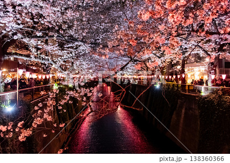 夜桜 ~東京・目黒川・13~ 夜桜 ~東京・目黒川・13~ 138360366