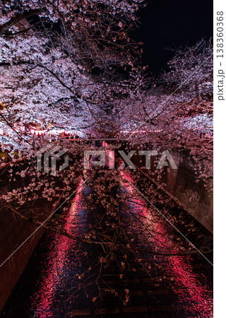 夜桜 ~東京・目黒川・26~ 夜桜 ~東京・目黒川・26~ 138360368