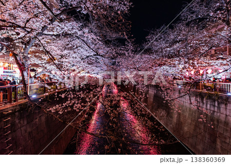 夜桜 ~東京・目黒川・27~ 夜桜 ~東京・目黒川・27~ 138360369