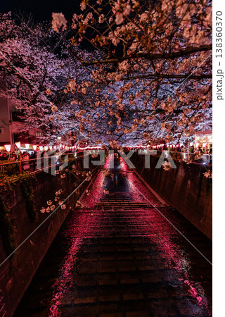 夜桜 ~東京・目黒川・28~ 夜桜 ~東京・目黒川・28~ 138360370
