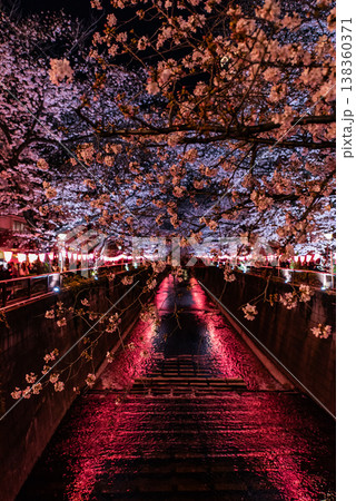夜桜　～東京・目黒川・29～ 138360371