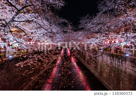 夜桜　～東京・目黒川・30～ 138360372