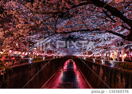 夜桜 ~東京・目黒川・22~ 夜桜 ~東京・目黒川・22~ 138360376