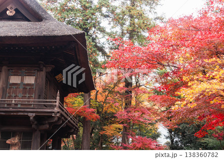 平林寺の境内を彩る美しい紅葉風景 138360782