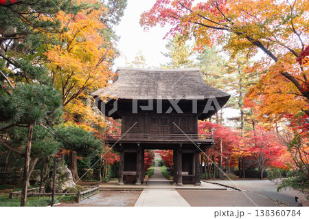 平林寺の境内を彩る美しい紅葉風景 138360784