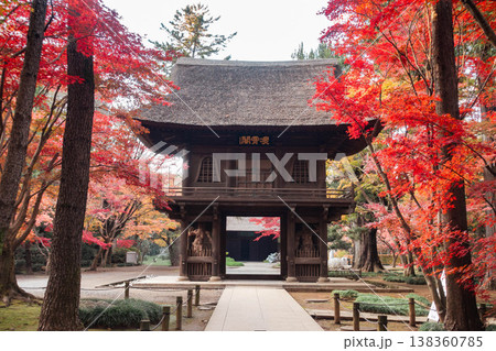 平林寺の境内を彩る美しい紅葉風景 138360785