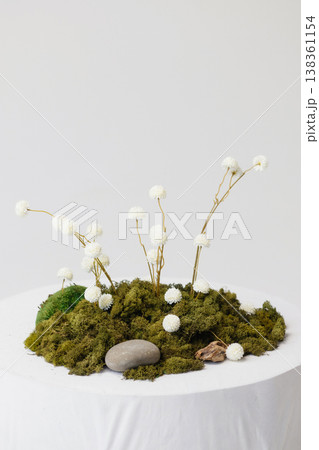 Minimal still life with white dried flowers on moss, stone on white pedestal, white wall Minimal still life with white dried flowers on moss, stone on white pedestal, white wall 138361154