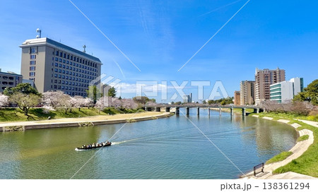 桜まつりの花見客を乗せたお花見乗合舟が青空と桜並木に彩られた乙川を進む〈桜城橋/愛知県岡崎市〉 138361294