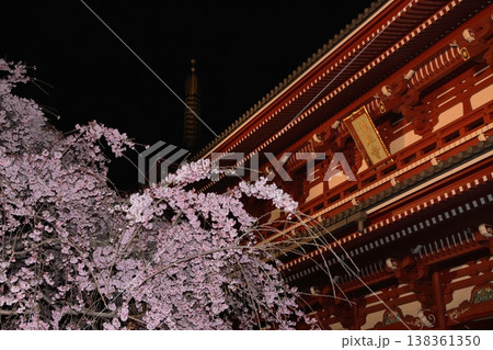 満開の桜と浅草寺宝蔵門 東京の観光地 満開の桜と浅草寺宝蔵門 東京の観光地 138361350