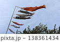 鯉のぼりー端午の節句 138361434