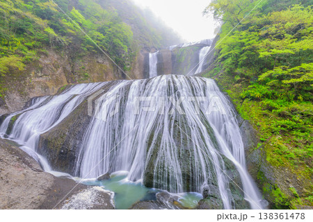 【茨城県】新緑に包まれる幻想的な霧の袋田の滝(観瀑台より) 【茨城県】新緑に包まれる幻想的な霧の袋田の滝(観瀑台より) 138361478
