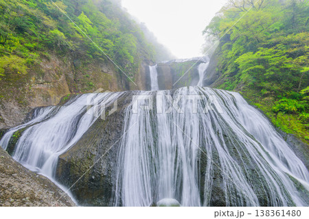 【茨城県】新緑に包まれる幻想的な霧の袋田の滝（観瀑台より） 138361480