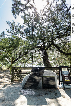 世界遺産三保松原に立つ伝説の羽衣の松, 138361632