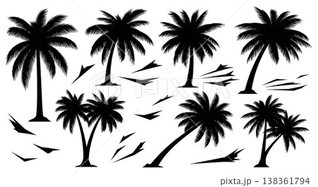 Black Solid Hurricane Palm Debris Silhouettes Set of Six on White Background Black Solid Hurricane Palm Debris Silhouettes Set of Six on White Background 138361794