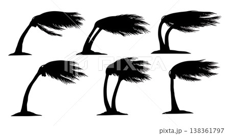 Black Solid Windy Palm Tree Silhouettes Set of Six 138361797