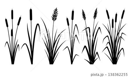 Assortment of Six Tall Grass and Reed Silhouettes on White Background 138362255